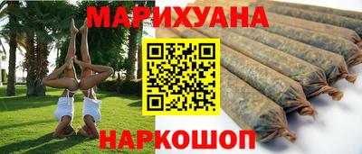 сатива Краснодар