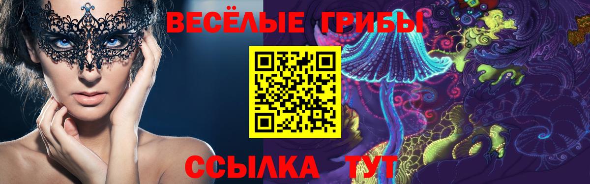 Псилоцибиновые грибы Psilocybine cubensis  Вход с VPN  Псилоцибиновые грибы Psilocybine cubensis  Кимры 